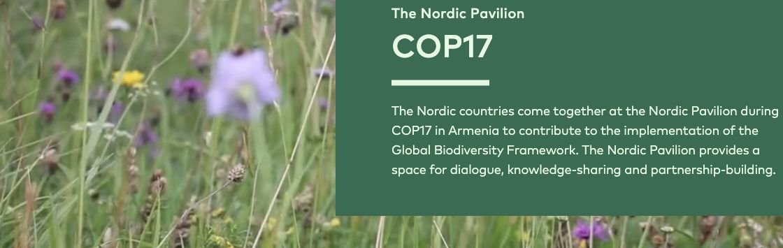 COP17 Nordic Pavilion banner from Nordic cooperation